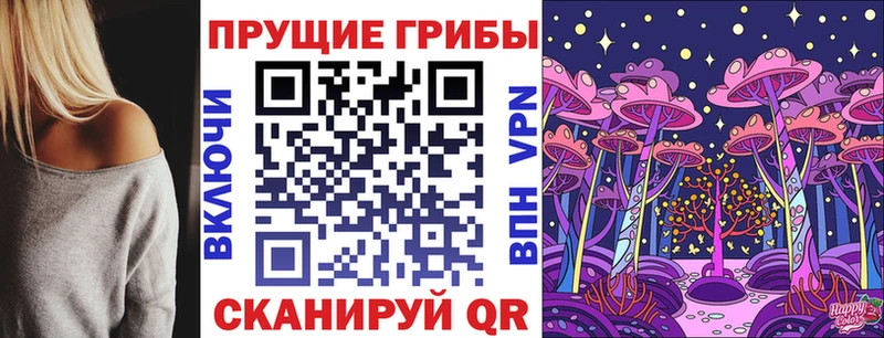 сколько стоит  Афипский  Псилоцибиновые грибы прущие грибы 