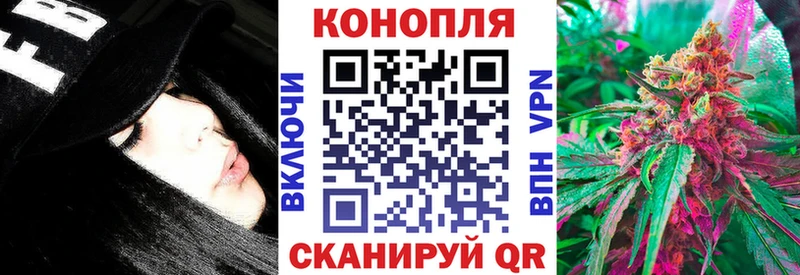 Бошки Шишки семена Афипский